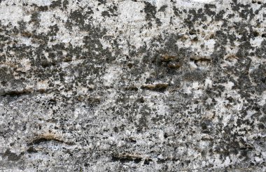 Yakın çekim yüzeyi dokunun katmanlarıyla süslenmiş, zamanın geçişini ve çevreye etkisini gösteren doğal yosun ve liken içeriyor.