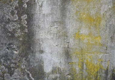 Yıpranmış beton duvarın yakın görüntüsü çeşitli doku ve renkleri gösteriyor. Yosun büyümesi ve renk değişimi zaman içinde elementlere maruz kaldığını gösteriyor.