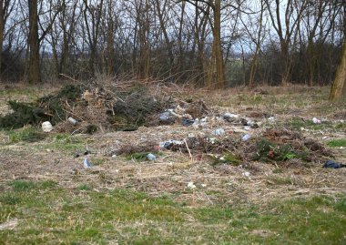 Çeşitli plastik atıklarla birleştirilmiş bir dal yığını, doğal olmayan manzaranın ortasında çirkin bir manzara yaratıyor.