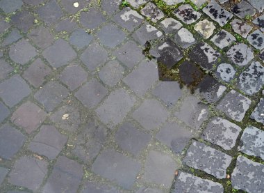 Islak kaldırım taşı sokağında yağmur yağdıktan sonra çevredeki yapıları yansıtan su birikintileri var.