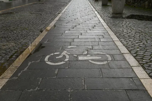 Sakin bir şehirde, ıslak bir kaldırım taşının üzerinde bisiklet yolu işaretli.