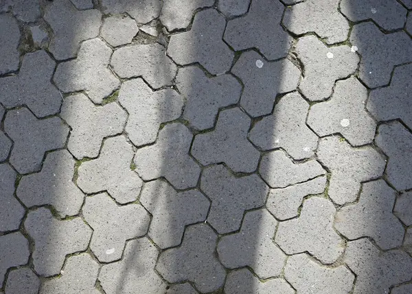 Güneş ışığı yakındaki ağaçların arasından süzülür ve kaldırım taşlarının desenli yüzeyinde karmaşık gölgeler yaratır.