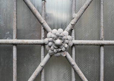 Çiçek tasarımı ve ızgara desenli karmaşık dekoratif metaller, şehir ortamında gün içinde eski cam panelli bir kapının cazibesini artırır.
