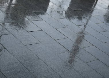 Asfalt kiremitler kentsel alandaki yağmurdan sonra su damlacıklarını yansıtır. Işıldayan yüzey, hava değişikliklerinin sonucunu vurgular.