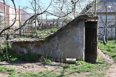 Güneşli bir günde yeşil çatılı ve kırsal bir yerleşim bölgesinde bulunan eşsiz bir bahçe barınağı.