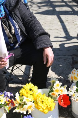 Bir satıcı küçük bir sandalyede oturur, çiçeklerin rengarenk çeşitlerini gösterir, nergis ve diğer mevsimlik çiçeklerin olduğu bir pazarda.