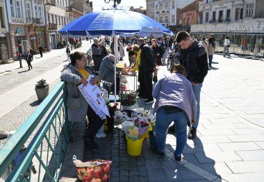 Uzhhorod, Ukrayna - 13 Nisan 2025: Uzhhorod 'da büyüleyici bir kasaba meydanında güneşli bir günde hareketli bir çiçek pazarı