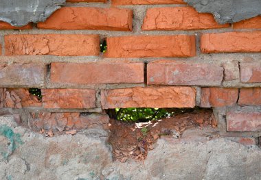 Tamir edilemeyen tuğla duvar, tuğlaların eksik olduğu önemli bir boşluğu gösteriyor, bu da yeşilliğin içeri bakmasına olanak sağlıyor. Doku betonla çelişiyor, doğanın esnekliğini vurguluyor.