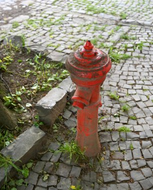 Canlı kırmızı itfaiye musluğu, çimenler ve yabani otlarla kısmen gizlenmiş, kaldırım taşı bir yolda konumlandırılmıştır.