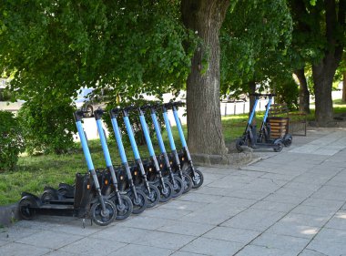 Elektrikli scooterlar işlek bir patikadaki ağacın yanında düzgün bir sıra halinde park edilir. Yeşillik şehir manzarasına ferahlatıcı bir dokunuş katıyor.