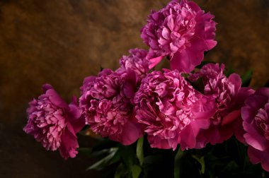 Canlı pembe şakayık demeti, kırsal, desenli kahverengi arka planda çarpıcı bir kontrast oluşturuyor.