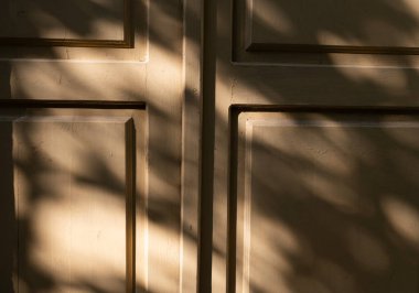 Işık, yakınlardaki yaprakların arasından süzülerek zarif tasarlanmış duvar panelleri üzerinde gölgeler oluşturur.