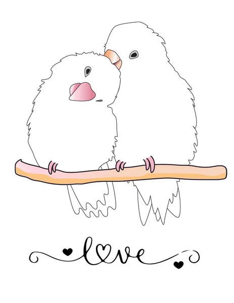 Vector illustration of a pair of parrots in love.Two parrots singing and feeling in love. with text love, romance, poster. drawings for cards, postcards, greetings and posters.