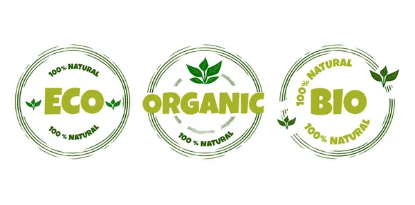 Ecology Icon Logo Template Green Leaves Organic Eco Friendly Products — Stock Vector