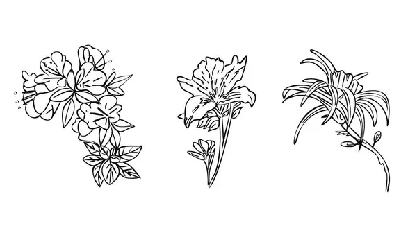 Çiçekli eli siyah beyaz çizerek ayır