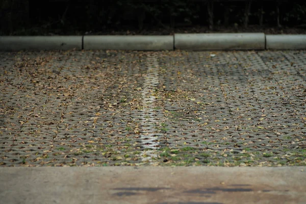 Пейзаж Вакантних Паркомісць Сушеними Листям Покритими Поверхні Цементного Блоку — стокове фото