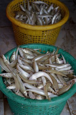 Closeup group of fresh fish in the plastic basket for selling at