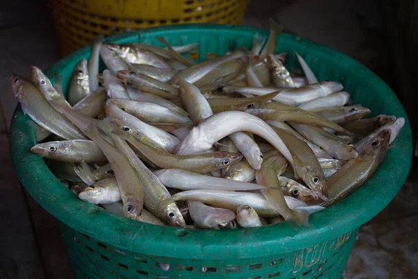Closeup group of fresh fish in the plastic basket for selling at