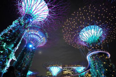 Koyun kenarındaki bahçe, SINGAPORE: 20 Ağustos 2023 - Körfez kenarındaki Garden denilen çekici yerde yüksek açılı süper ağaçlar grubu. Işık ve ses gösterisi