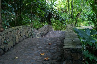 Tropikal ormanda bulunan taş ve çimentodan inşa edilen yürüyüş yolu.