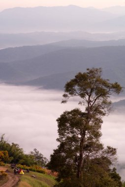 The old big treegrows on the mountain with fluffy white fog and layers of mountains in background clipart