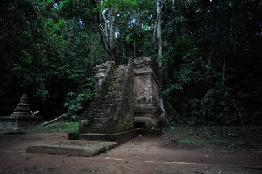 Ağaçlarla çevrili ormandaki tuğla ustalarının yıpranmış dini yapısı.