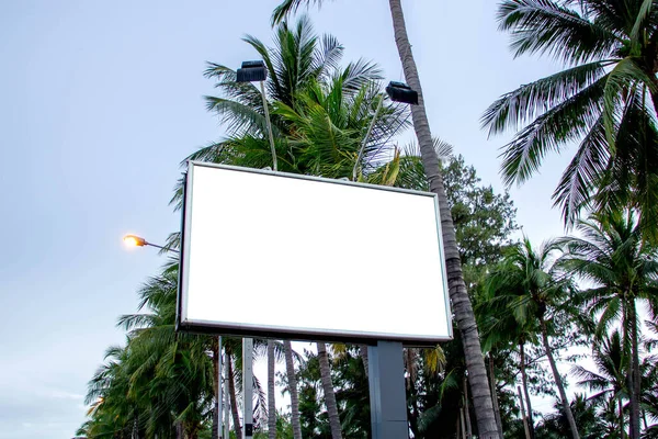 Roadside billboards on the beach with tons of coconuts in the background lights sky