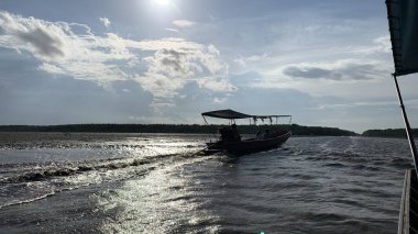 Mangrove Ormanı güzel doğa bereketli su açık gökyüzünde akıyor Samut Songkhram Tayland 'da güzel bir çevre