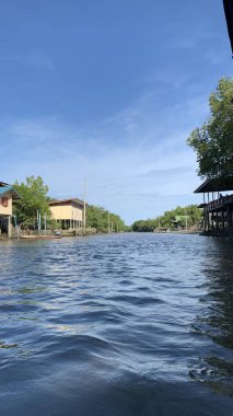 Mangrove Ormanı güzel doğa bereketli su açık gökyüzünde akıyor Samut Songkhram Tayland 'da güzel bir çevre
