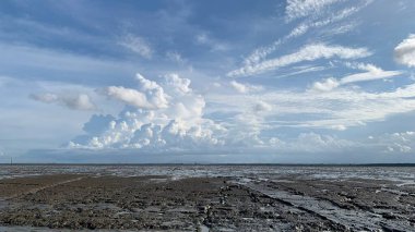 Mangrove Ormanı güzel doğa bereketli su açık gökyüzünde akıyor Samut Songkhram Tayland 'da güzel bir çevre