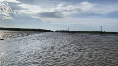 Mangrove Ormanı güzel doğa bereketli su açık gökyüzünde akıyor Samut Songkhram Tayland 'da güzel bir çevre