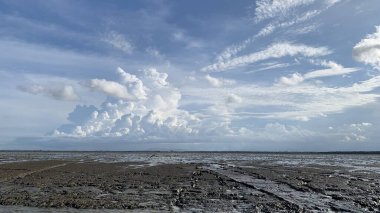 Mangrove Ormanı güzel doğa bereketli su açık gökyüzünde akıyor Samut Songkhram Tayland 'da güzel bir çevre