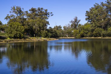 Bunbury Batı Avustralya yakınlarındaki Dalyellup 'ta, ördeklere, kaşıklara, kakülere ve diğer pek çok su kuşuna ev sahipliği yapan, güzel ve yansıtıcı manzaralı bir yaz sabahı manzarası var..