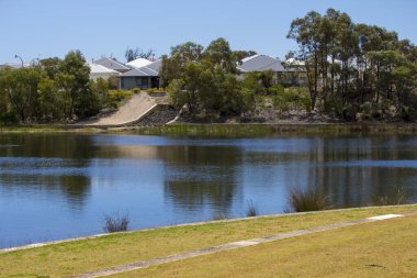 Bunbury Batı Avustralya yakınlarındaki Dalyellup 'taki dingin sulak arazi ve gölün güzel manzarası kaşıklar, ördekler, kaktüsler ve diğer pek çok su kuşunun evidir..