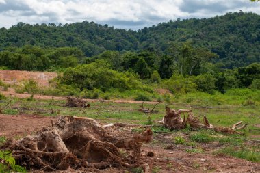 Doğanın Çatışması: Korunma Yıkım karşısında.