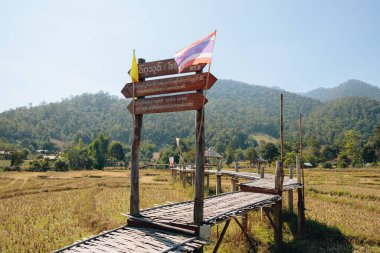 Bambu Köprüsü 'nün kuzey Tayland' daki tarım arazileri ve tropikal manzarasının manzarası.