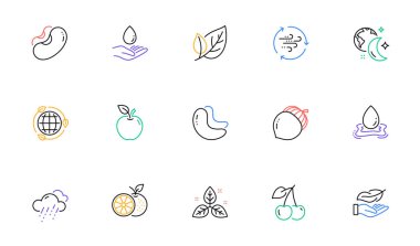 Yaprak, kaju fıstığı ve eko enerji hattı ikonları web sitesi, baskı için. Adil ticaret tahsilatı, rüzgar enerjisi, kiraz ikonları. Elma, portakal, su bakımı web elementleri. Yağmurlu hava, meşe palamudu, hafif siklet. Vektör