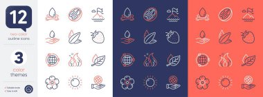 Set of Eco energy, Mountain flag and Water splash line icons. Include Pecan nut, Natural linen, Sunflower seed icons. Fire energy, Sunny weather, Strawberry web elements. Safe planet. Vector clipart