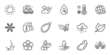 Web uygulaması için yapraklar, nane yaprakları ve su bakım çizgisi simgeleri. Konuşma, bilgi, teslimat kamyonu taslak ikonu. Brezilya fındığı, organik testler, rüzgarlı hava ikonları dahil. Vektör