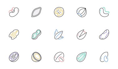Nuts and seeds line icons. Hazelnut, Almond nut and Peanut. Sunflower seeds, Brazil nut, Pistachio icons. Walnut, Coconut and Cashew nuts. Linear set. Bicolor outline web elements. Vector