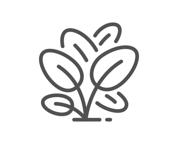 Ikona Špenátové Linky Salát Zanechává Znamení Symbol Salátu Kvalitní Konstrukční — Stockový vektor