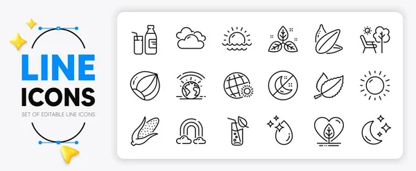 Minzblätter Weltwetter Und Haselnuss Linie Symbole Set Für Die App — Stockvektor