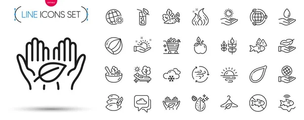 Pack World Weather Eco Energy Vegetables Line Icons Include Weather — Stock Vector