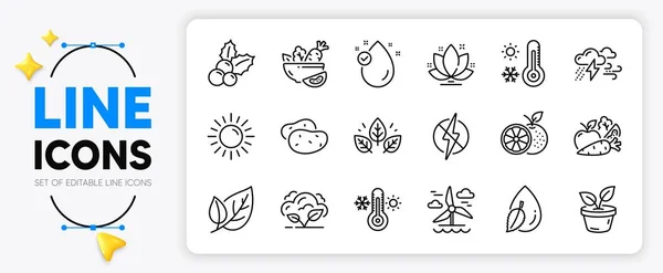 Orange Lotus Organic Tested Line Icons Set App Include Salad — Stock Vector