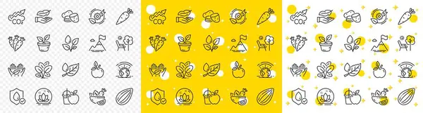 Outline Waterproof Salad Eco Food Line Icons Pack Web Leaves — Stock Vector