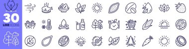 Hindistan cevizi, Gündoğumu ve mısır çizgisi simgeleri. Güneşli hava, soya fıstığı, Sunset web ikonu. Ceviz, su sıçratma, salata resmi. Ağaç, güneş, balık yemeği. Bitkiler sulanır, yeşil enerji, yapraklar çiğ olur. Vektör