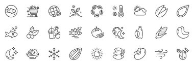 Dünya hava durumu, Uyku ve Yastık Hattı uygulamaları için simgeler, sebze arabası, güneşli hava, ince simge web seti için organik test edilmiş simgeler içerir. Su şişesi, meyve suyu, kabak tohumu resmi. Vektör