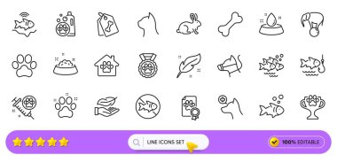Feather, Elephant on ball and Fish line icons for web app. Pack of Dog paw, Pets care, Water bowl pictogram icons. Dog certificate, Pet friendly, Stop fishing signs. Pet shelter. Search bar. Vector clipart