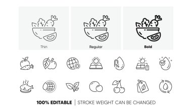 Alkol yok, güneş enerjisi yok ve Apple çizgisi simgeleri yok. Bir paket balık yemeği, dünya havası, bezelye ikonu. Yapraklar, güneş paneli, salata resmi. Kiraz, biyoloji etiketleri, su doldur. Elma havucu, dünya suyu. Vektör
