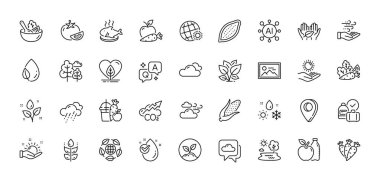 Mısır, güneşli hava ve başlangıç çizgisi simgeleri paketlendi. Al, Soru ve Cevap, Harita iğne simgeleri. Su damlası, elma, glütensiz ağ simgesi. Rüzgarlı hava, salata, CO2 piktogram. Vektör